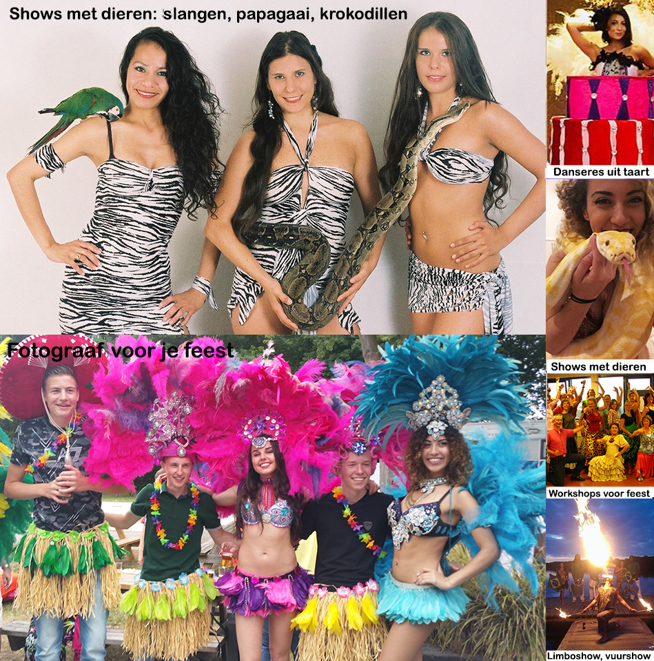 Tropische Brazilie Themafeest